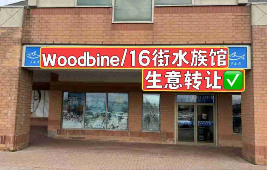 同城 零售 生意买卖 Woodbine/16街水族馆出售